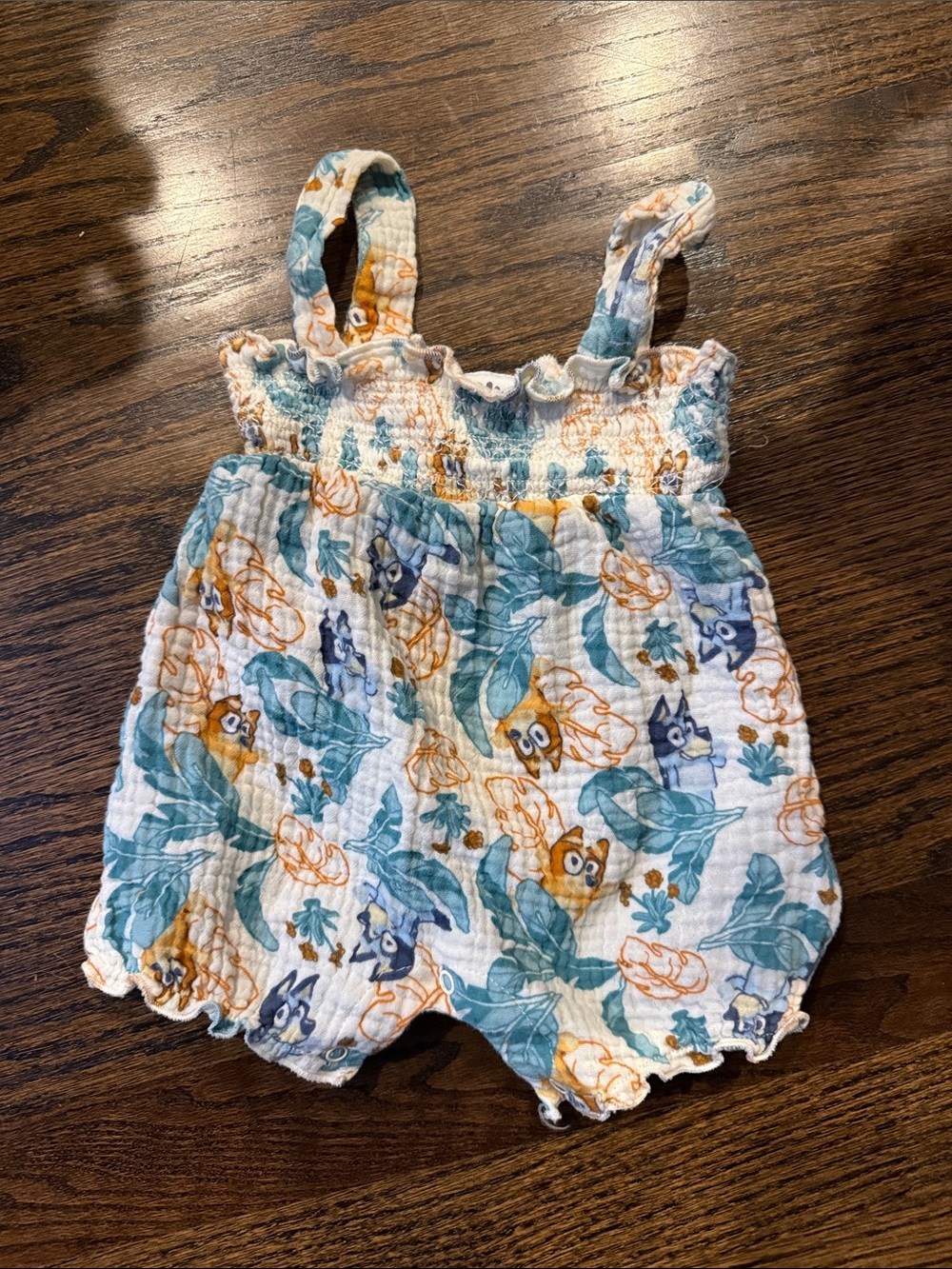 Bluey 0-3 Baby Floral & Leaf Print Romper in Teal and Orange